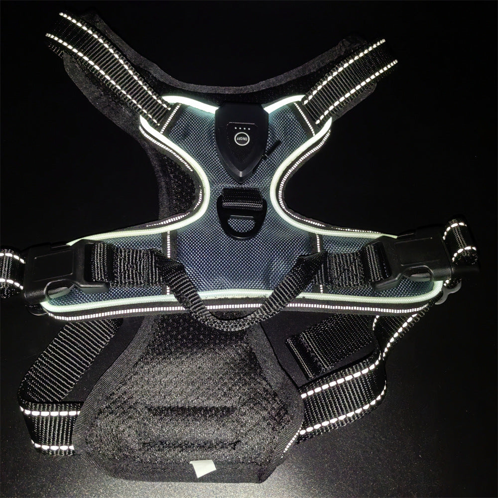 Reflective dog harness on a black background