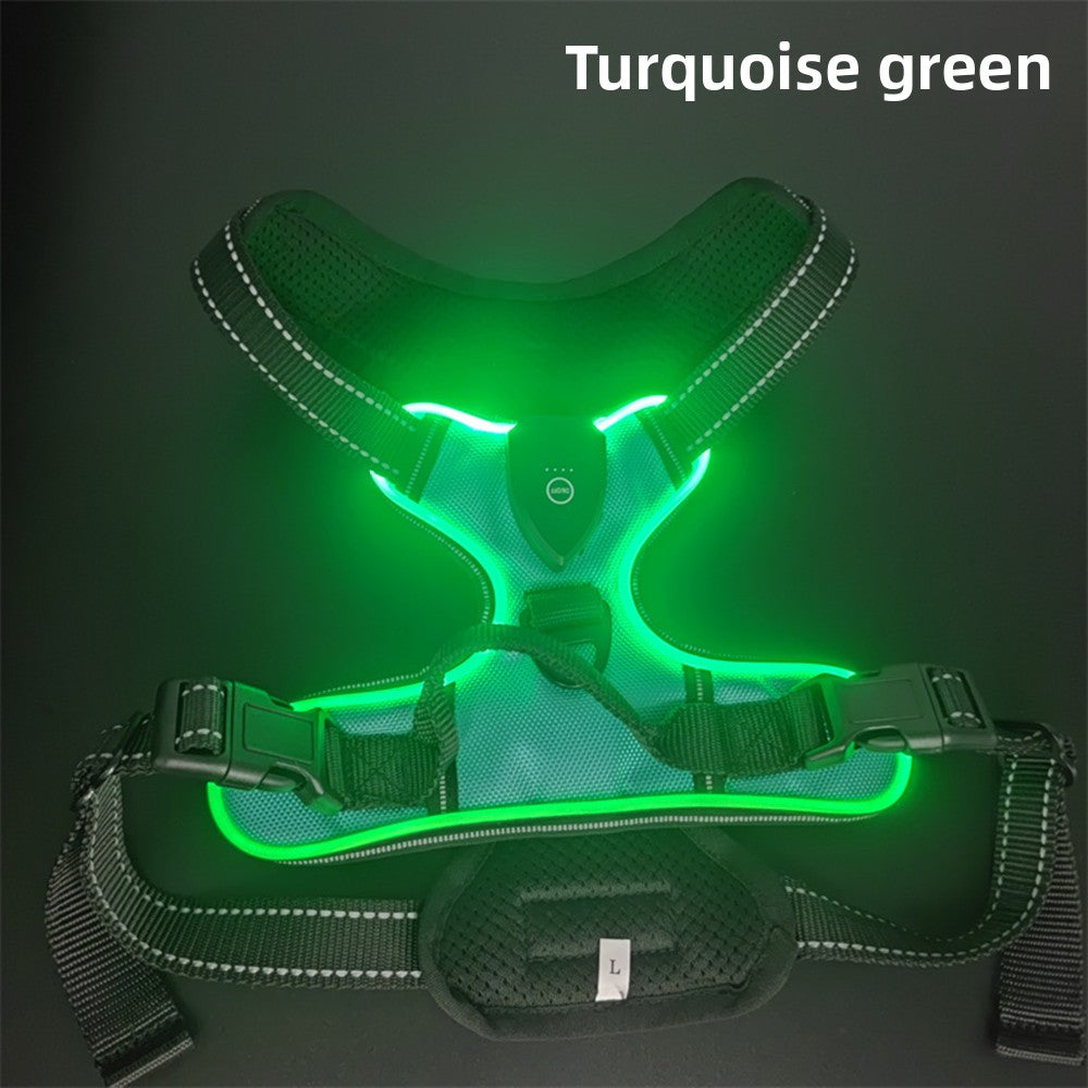 Green LED dog harness on a dark background with 'Turquoise green' text.