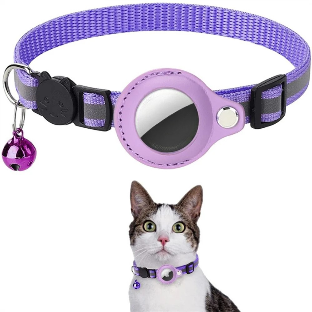 Purple pet collar with a bell and reflective patch, worn by a cat.