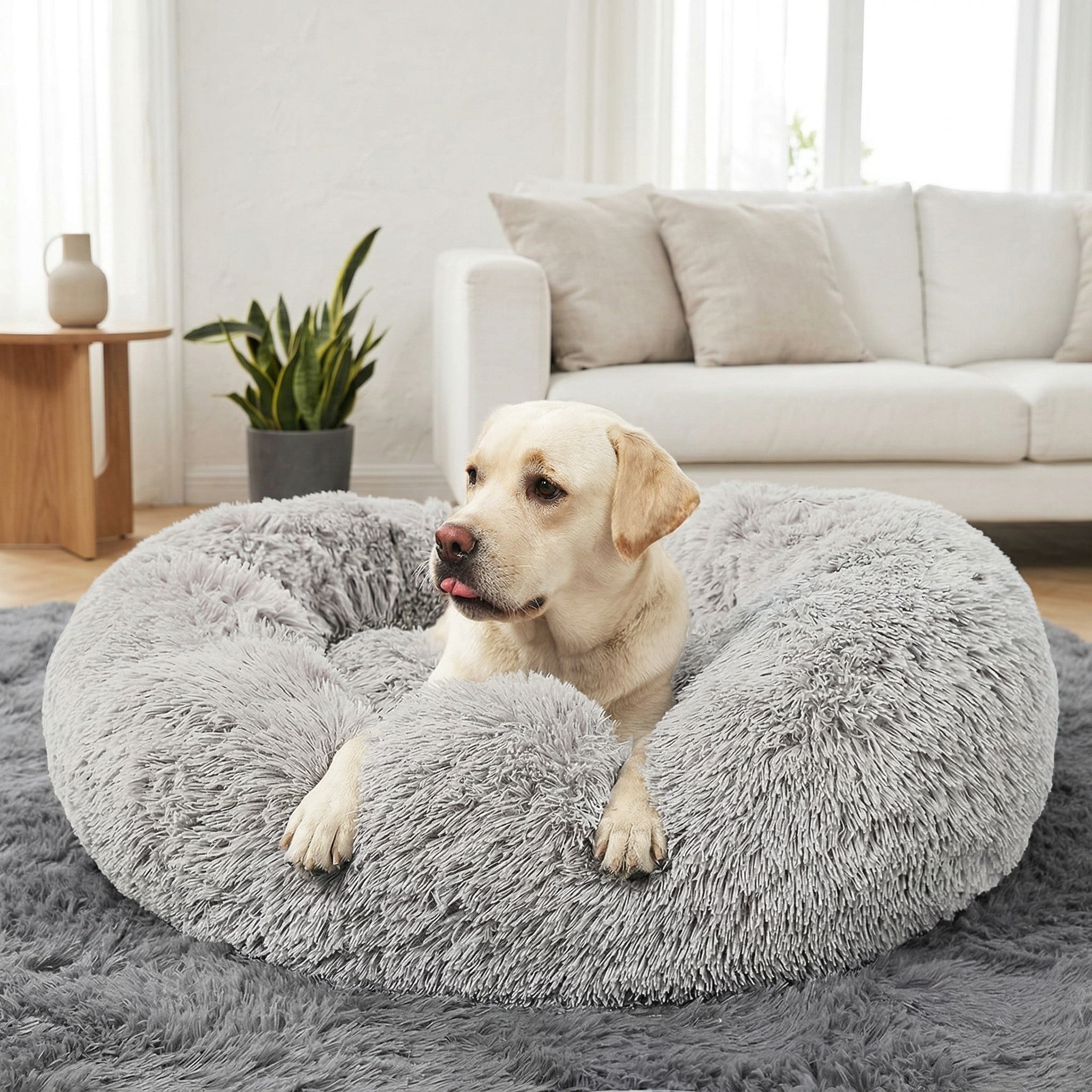 Dog lying on a fluffy grey pet bed in a living room.