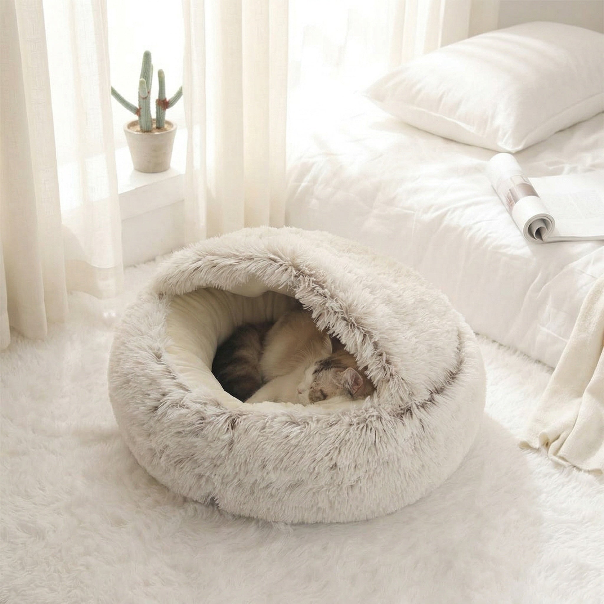 Fluffy pet bed on a soft carpet with a cat inside, in a softly lit room.