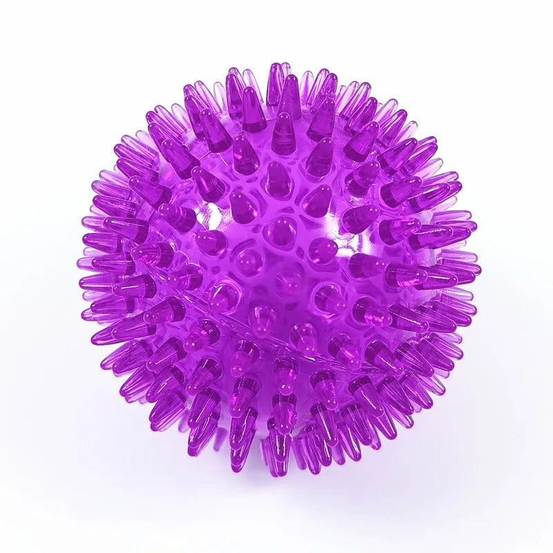 Purple spiky ball on a white background
