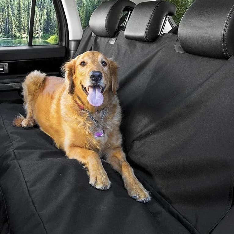 Dog sitting on a black car seat protector in a car with a scenic view outside.