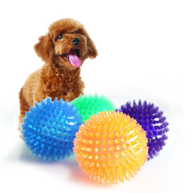 Dog with colorful spiky balls on a white background
