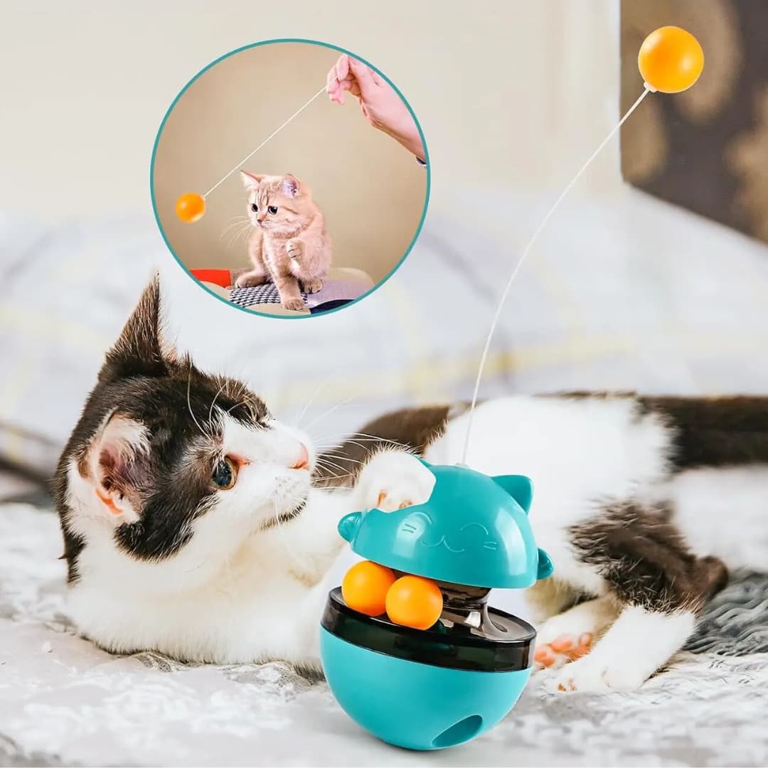 Cat playing with a teal toy that dispenses small balls, with a close-up inset of a kitten interacting with the toy.