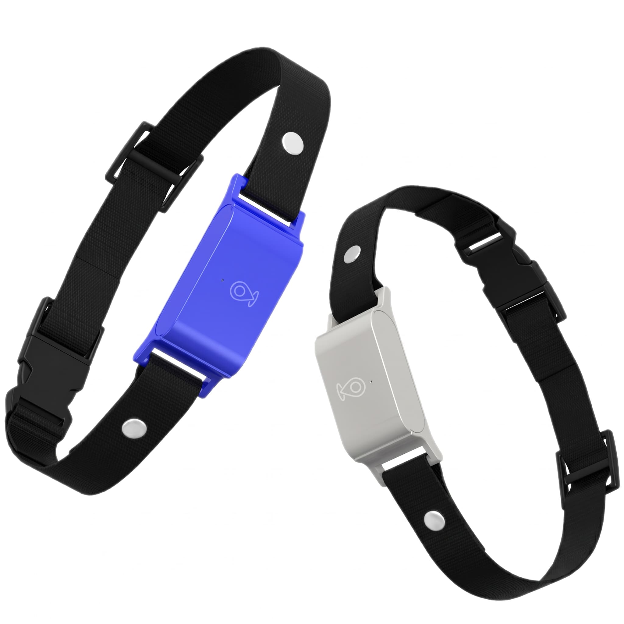 Two black GPS dog collars with blue and grey plastic buckles on a white background