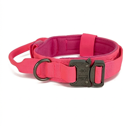 Pink dog collar with a black buckle on a white background
