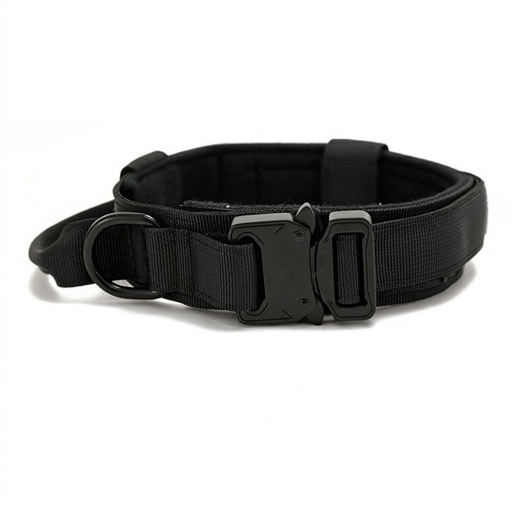 Black dog collar with a buckle on a white background
