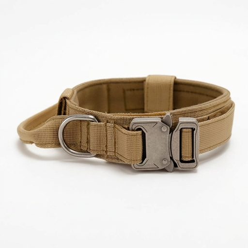 Tan dog collar with metal buckle on a white background