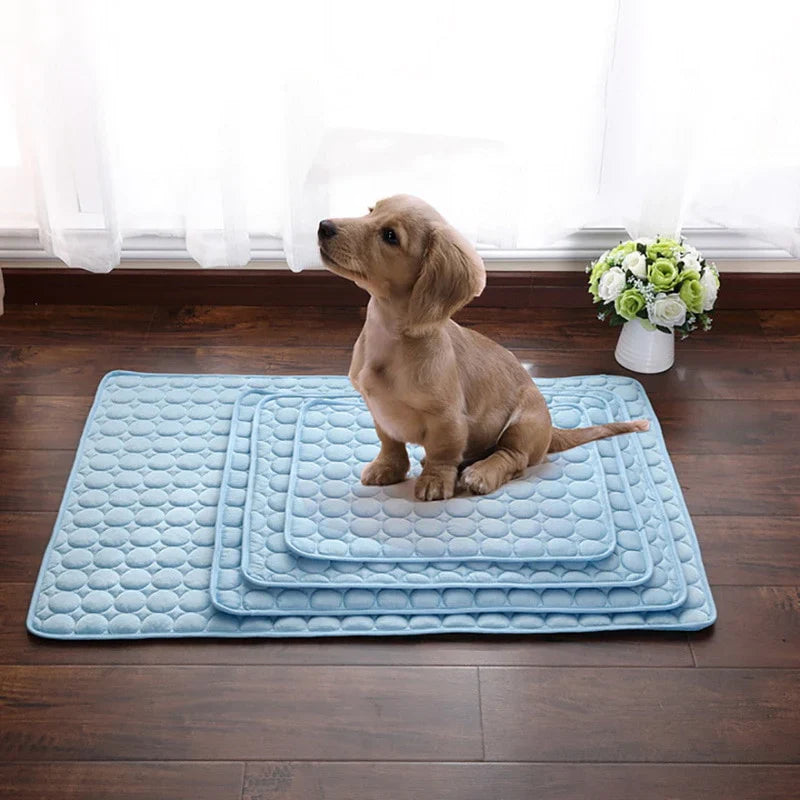 Dog sitting on a blue cooling mat with a white curtain and flowers in the background