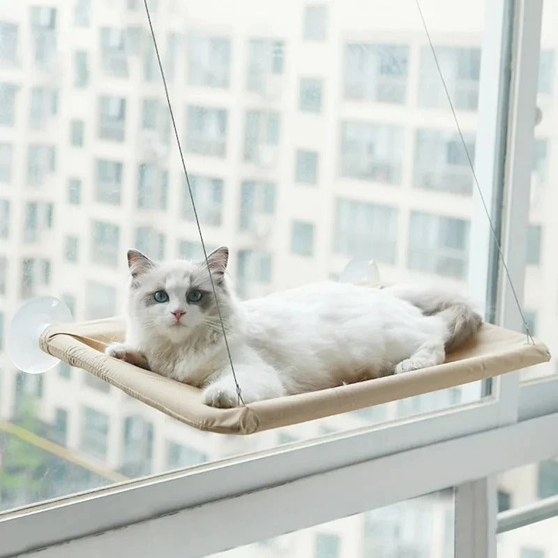 Cat lounging on a hammock by a window with cityscape view
